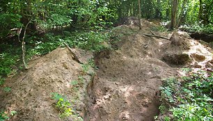 Archeologinių dirbinių plėšikų iškasinėtas Poškaičių kapinynas