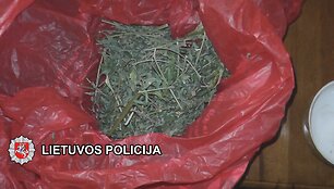 Sulaikyti įkalčiai