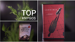 15min knygos