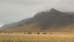 Islandija