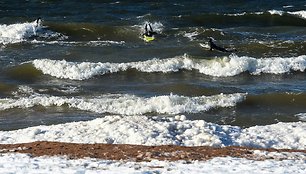 Plaukiojimas banglente Suomijos įlankoje žiemos metu