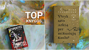 TOP knygos