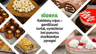 NORFA multimedia_saldesiai-1