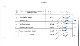 Pateikta ataskaita
