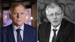 Vytenis Povila Andriukaitis ir Gediminas Kirkilas