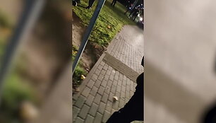 vaizdo-stebejimo-kameromis-uzfiksuota-kaip-paaugliai-kaune-niokoja-daugiabucio-turta