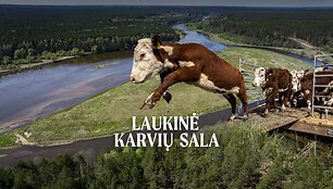 vir&scaron;elis-karvytės