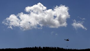 &Scaron;veicarų kariai gelbsti nuo kaitros kenčiančioms karvėms