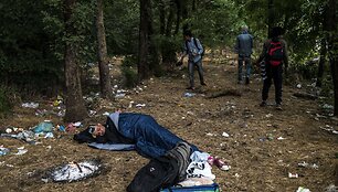 Kur papuola nakvojantys migrantai Europoje