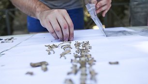 Pompėjoje atliekami archeologiniai kasinėjimai ir jų radiniai