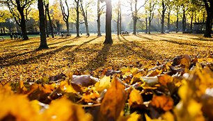 Rudens spalvos Europoje