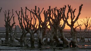 Argentinos kurortas Vilja Epekuenas &ndash; miestas vaiduoklis 25 metus i&scaron;buvęs po vandeniu