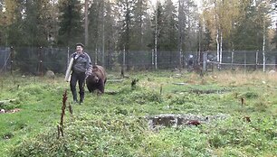 Tapytojas Juuso ir jo abstrakti kūryba
