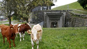 Nebenaudojami Šveicarijos bunkeriai paversti muziejais, restoranais ir sandėliais