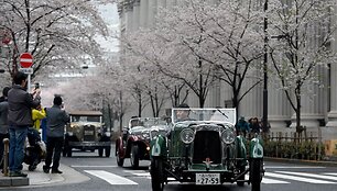 Japonijos klasikinių automobilių festivalis Tokijuje