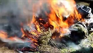 571ddeed648bfvideo_571ddeec5f796