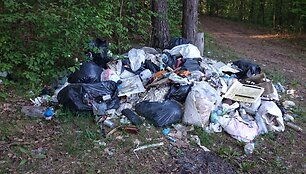 &Scaron;iuk&scaron;lių krūva Verkių regioniniame parke