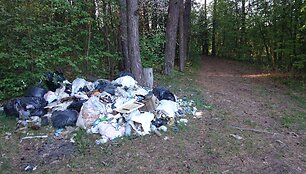 &Scaron;iuk&scaron;lių krūva Verkių regioniniame parke