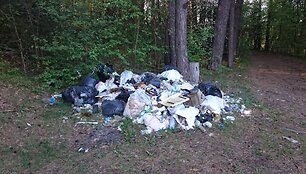 &Scaron;iuk&scaron;lių krūva Verkių regioniniame parke