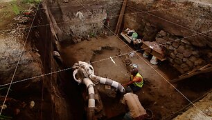 Archeologai dirba prie mamuto skeleto rasto Meksikoje
