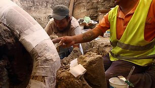Archeologai dirba prie mamuto skeleto rasto Meksikoje