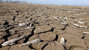Didžiausia per du de&scaron;imtmečius sausra Paragvajaus Pilkomajo upėje 