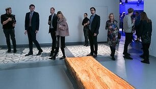 Jaunųjų menininkų parodos &bdquo;Seklus, greitas ir dar neįvardintas&ldquo; premjera &Scaron;MC