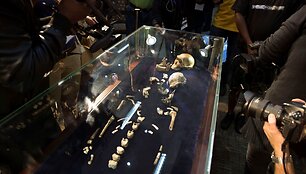 Paleontologai mano atradę trūkstamą žmogaus evoliucijos grandį 
