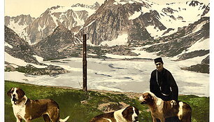 Pasaki&scaron;ka &Scaron;veicarija 1890 metais