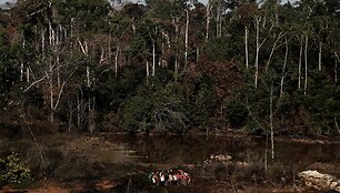 Nelegaliai auksą kasančių brazilų bendruomenė