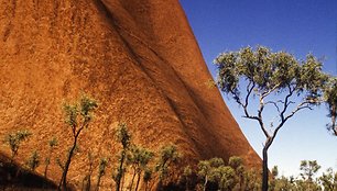 Uluru uola Australijoje 