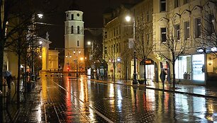 Gamta Vytauto &Scaron;auklio fotografijose