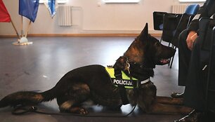 Kauno keturkojams pareigūnams įteikti apdovanojimai