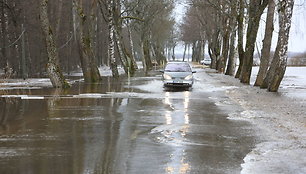 Patvinęs kelias Rusnėje