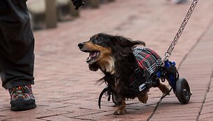 Kinijoje vyko taksų eitynės &bdquo;Sausage walk&ldquo;