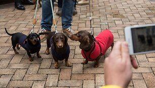 Kinijoje vyko taksų eitynės &bdquo;Sausage walk&ldquo;