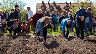 Pakruojo dvaro vasaros sezono atidaryme &ndash; sunkiųjų Lietuvos arklių varžybos