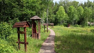Parkas Dauliūnų kaime
