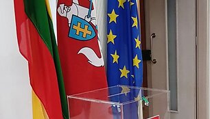 Emigrantai balsuoja Seimo rinkimuose Londone