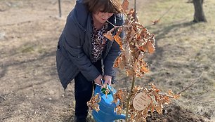 „Fielmann“ indėlis tvariai gerovei – šeimos tradicija tapęs medžių sodinimas, akiniai iš perdirbto ir celiuliozės acetato