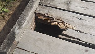 Prastėjanti Kadagių slėnio pažintinio tako būklė