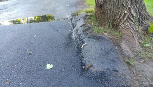 Rekonstrukcijos darbų Ramybės parke ir Kauko alėjoje brokas