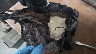 Kauno policija sulaikė jauną jonavietį ir aptiko vogtų daiktų