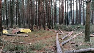 Lietuvos pareigūno žemės sklype Papėje išpjauti medžiai