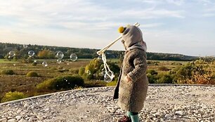 Vilainiuose pastatytas akį traukiantis kupolinis namas