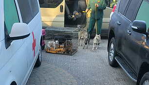 Kelionė humanitariniu autobusu, vežančiu pabėgėlius i&scaron; Lvivo