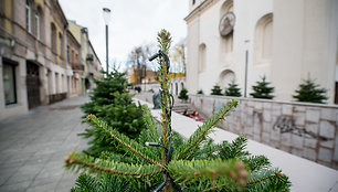 Kaunas jau ruošiasi Kalėdoms