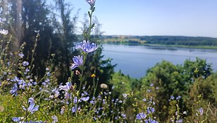 Kadagių slėnio pažintinis takas