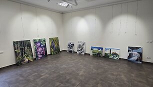 Bir&scaron;tono kurhauze neįvykęs meno parodos atidarymas
