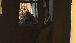 Apleistas namas Kauno H. ir O. Minkovskių gatvėje